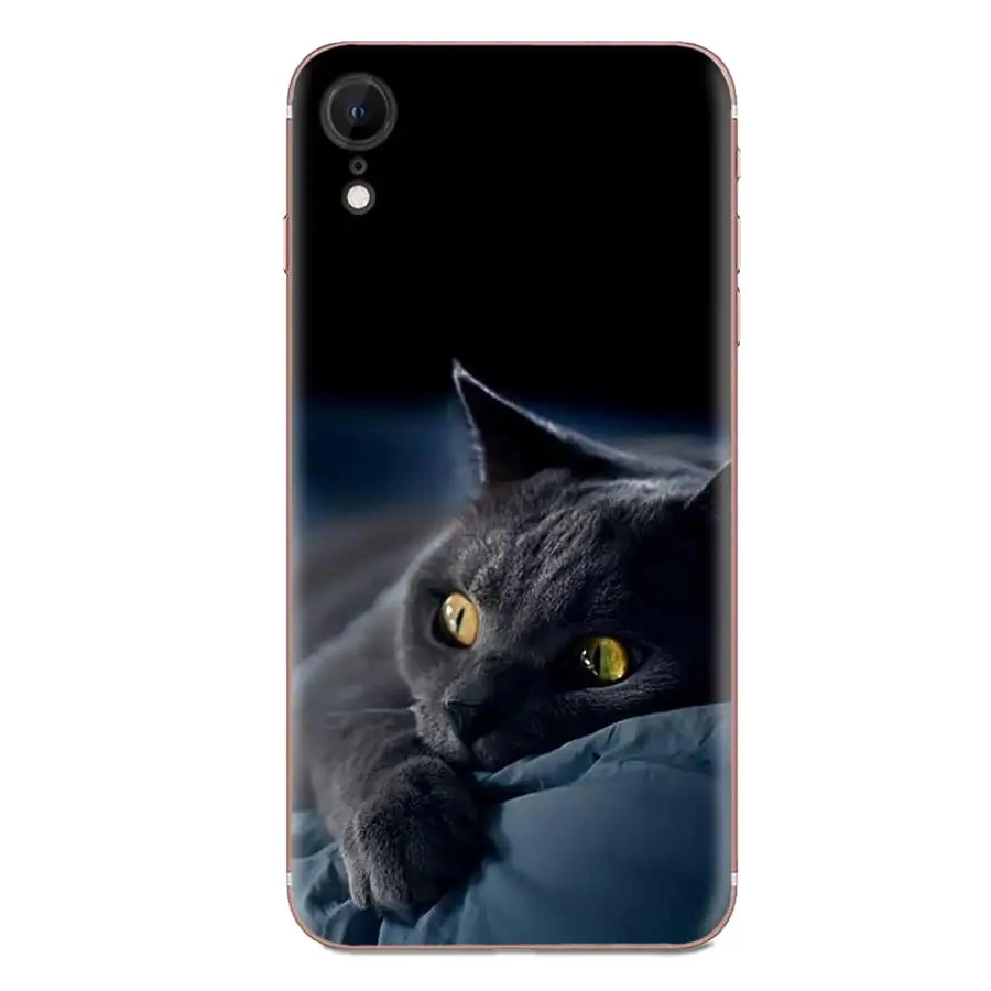 Британский короткошерстный чехол из ТПУ для huawei Honor mate Nova Note 20 20s 30 5 5I 5T 7C 8A 8X9X10 Pro Lite Play - Цвет: as picture