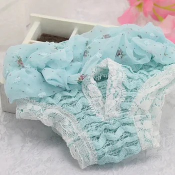

Pet Dog Physiological Sanitary Pants Washable Female Dog Diaper Reusable Sanitary Shorts