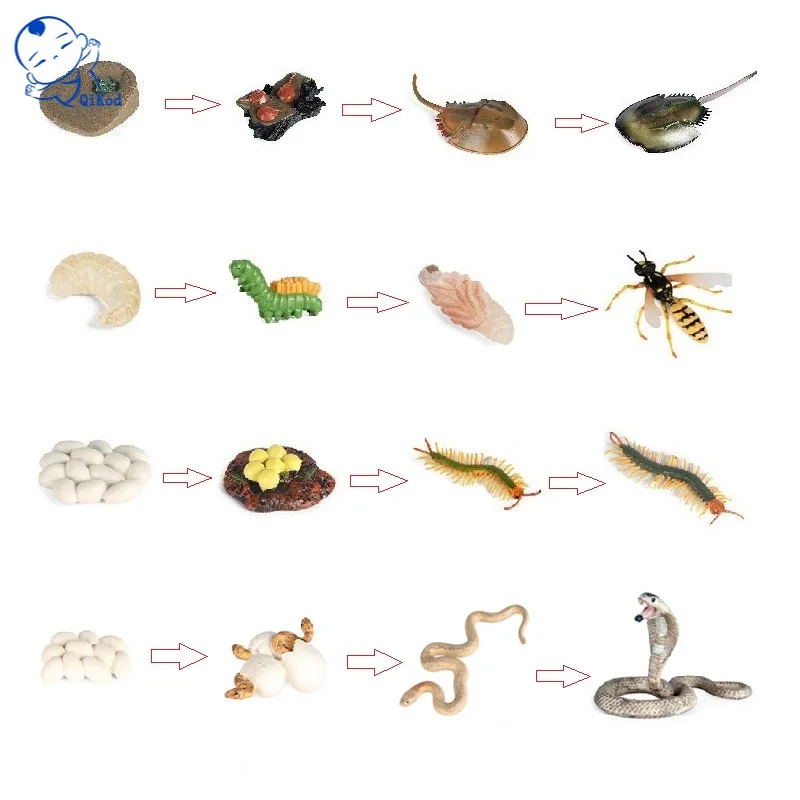 Hot Simulation Animal Insect Model Mini Animals Centipede Snake Wasp Growth Cycle Ornaments Kids Cognitive Educational Toys Gift | Игрушки и