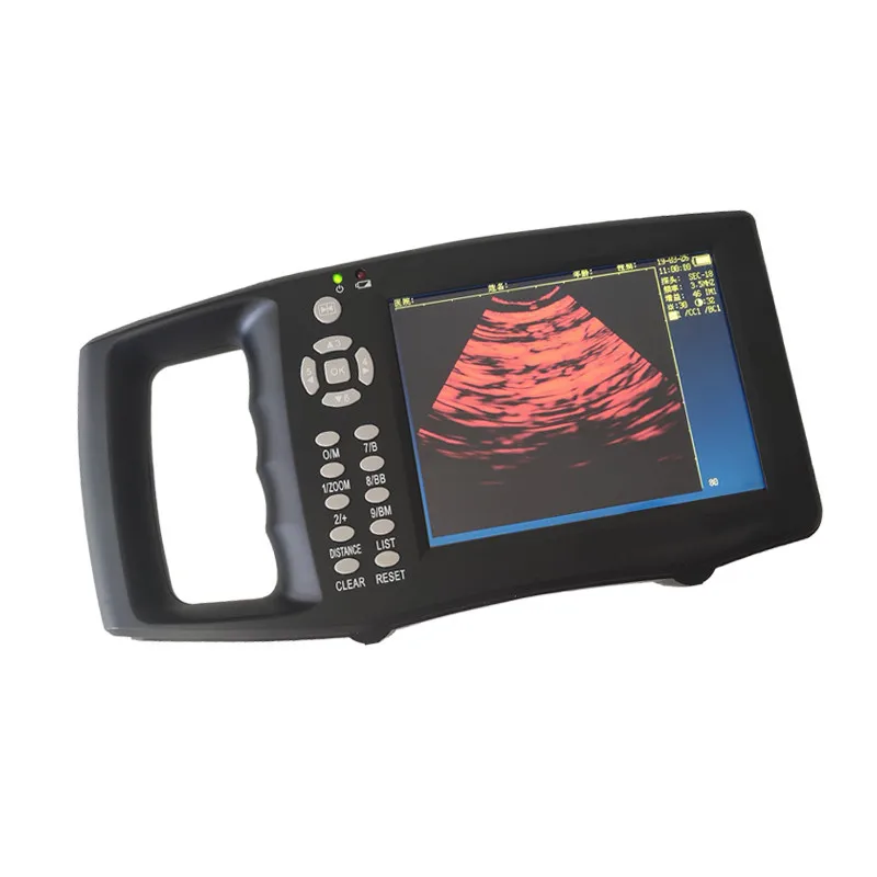 O1CN01xpQ13S1xo0aB01HBh_!!812466489