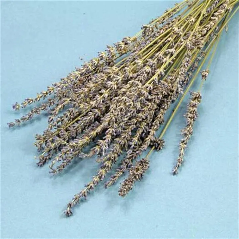 QQ截图20200310144702