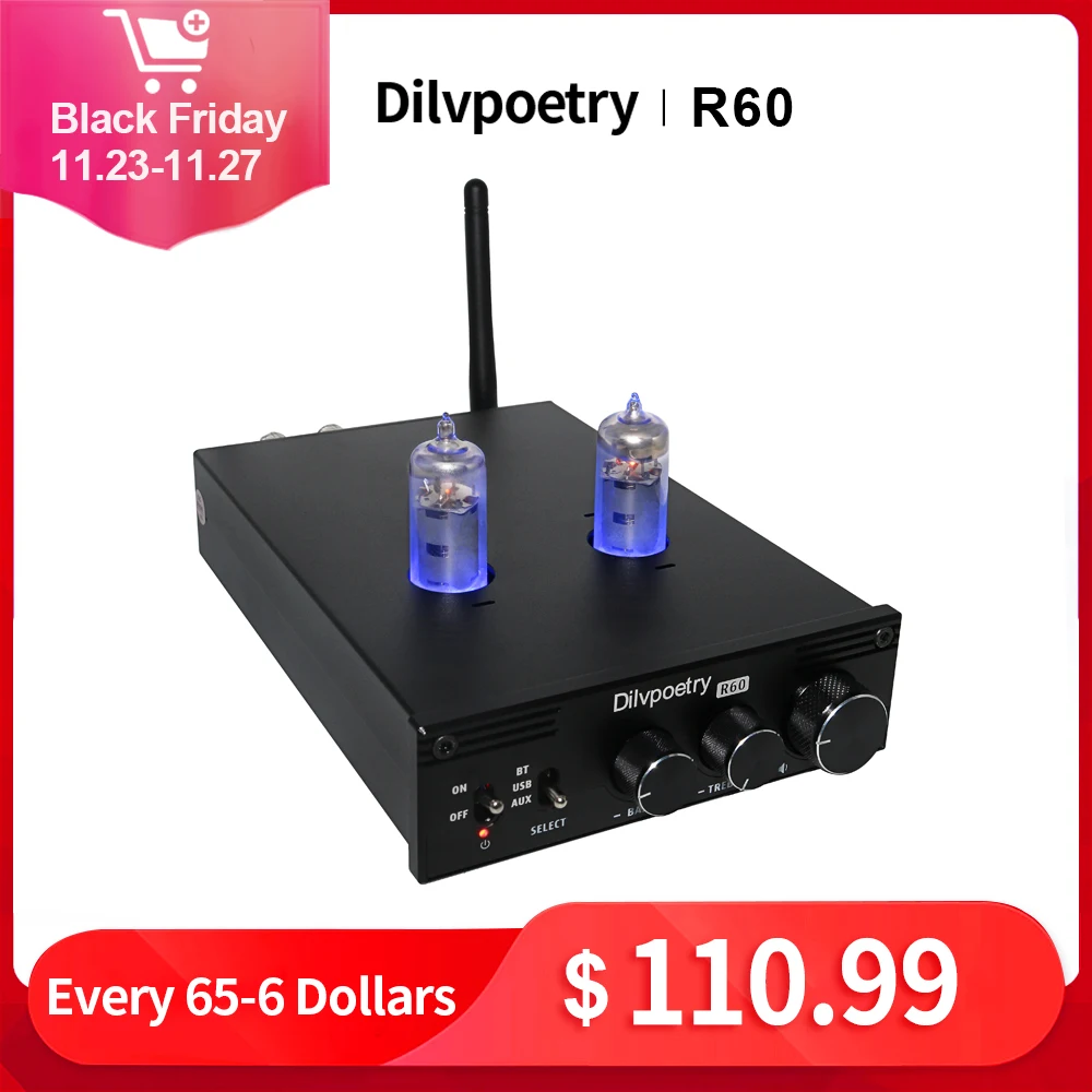 Dilvpoetry-R60 Digital power amplifier 2.0 tube