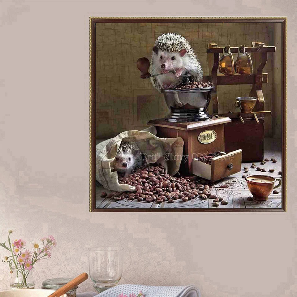 71fqAO-zDpL._SL1000_