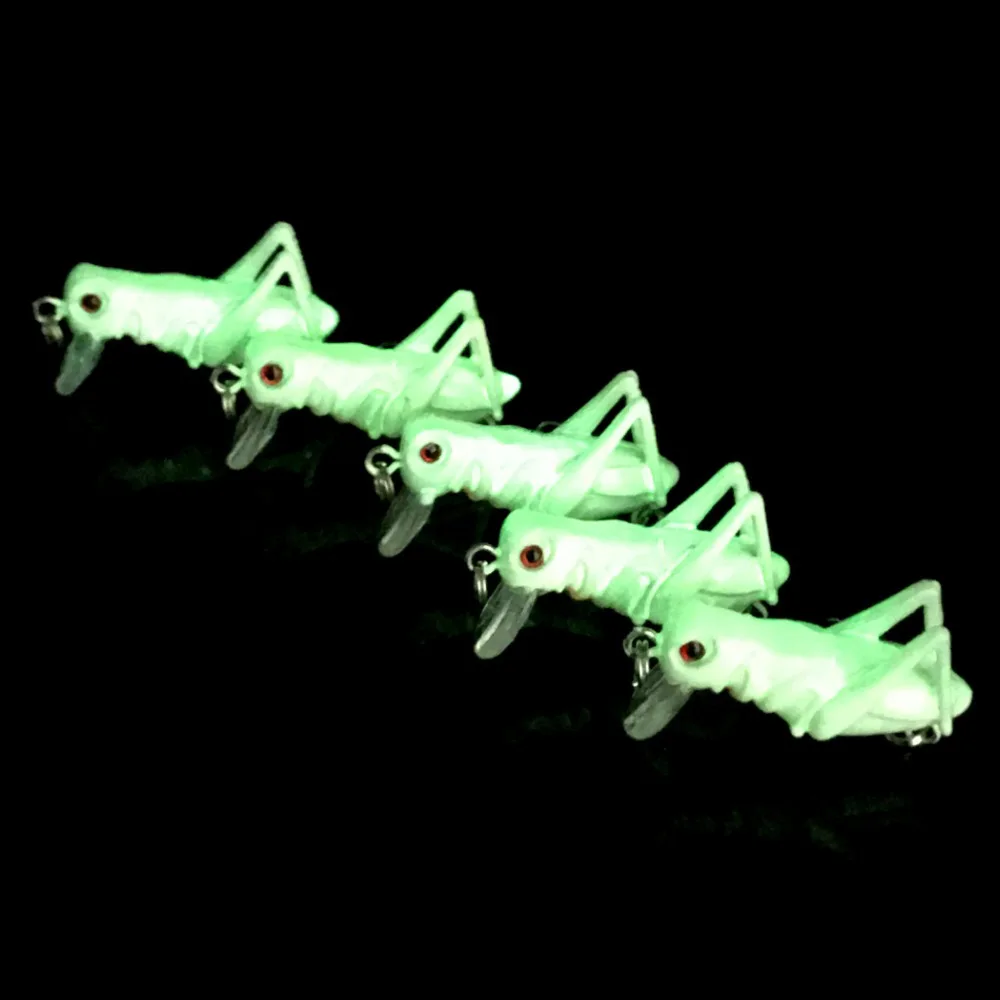 5358290604_1115484794