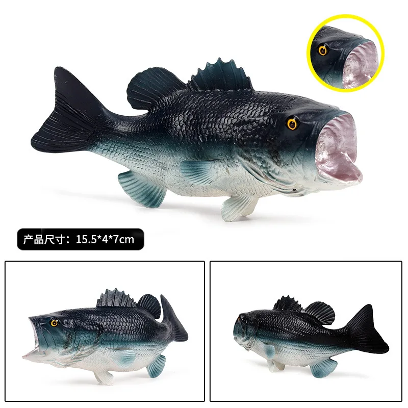 

Solid Model Marine Organism Model Big Mouth Bass Freshwater Fish Salmon Mandarin Fish Carp Model Toy Decoration