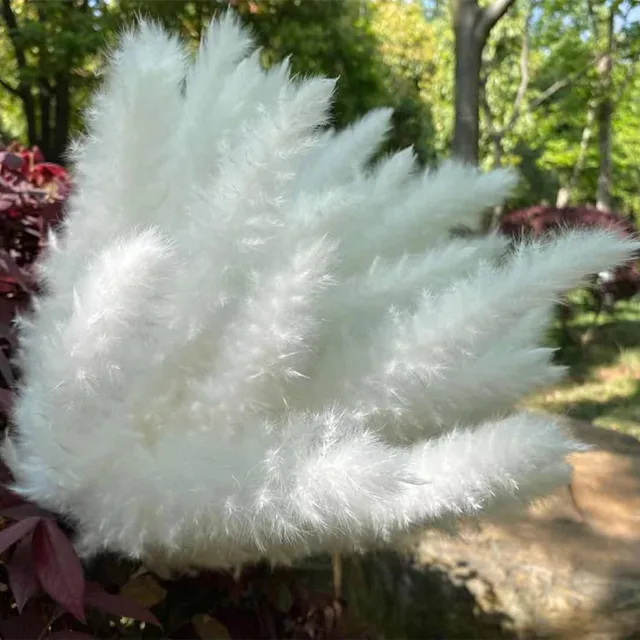 15Pcs Dried Reed Flower Arrangement Natural Pampas Grass For  Modern Home Decoration Party Backdrops Wedding Supplies white