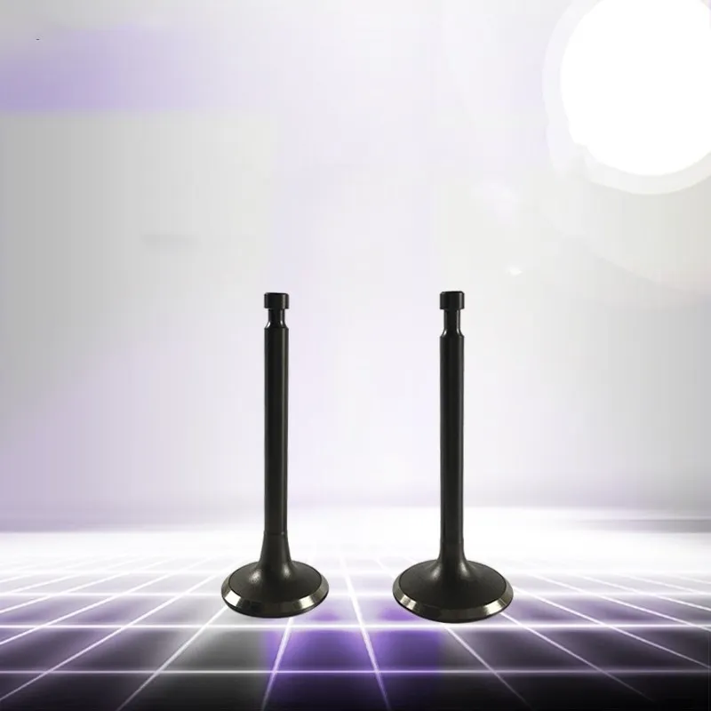 1 Set 168F 170F valve intake and exhaust valve For 168 / 170 / GX160