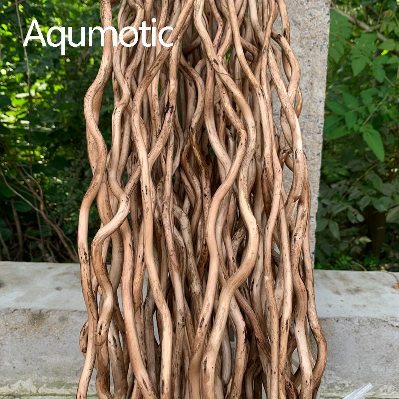 Aqumotic 50cm(1.6ft) albero naturale Non artificiale Bouquet rami