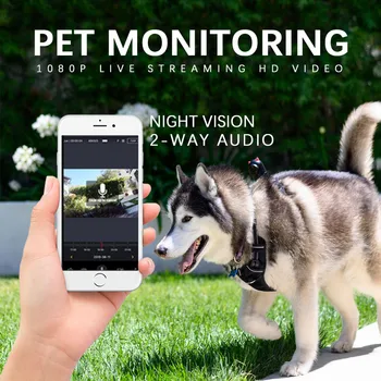 

2019 Fashion Pet Video Pet Sports Camera Video Kit Dog Chest Strap Cat Video Chest Strap 1080P HD live videoing Communicate pet