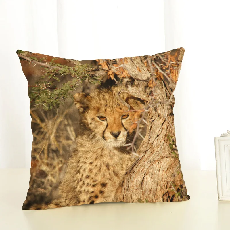 8823427893_1255064235