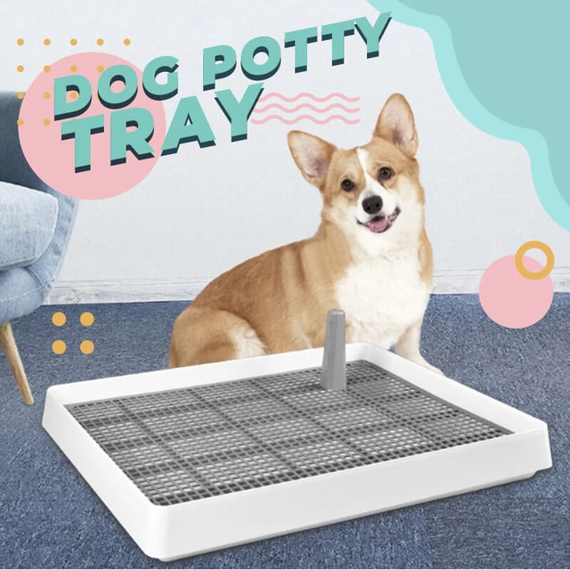 Train Older Dog Use Pee Pads  Puppy Toilet Tray Pee Training - Puppy Pee  Pad Holder - Aliexpress