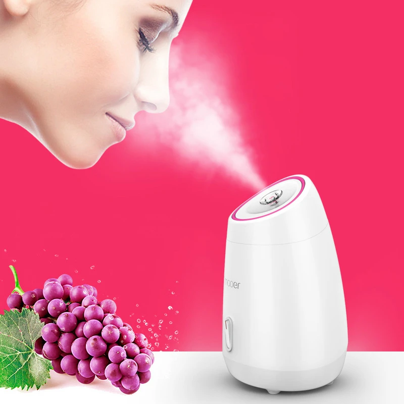 

Fruit vegetable Facial Face Steamer household Spa beauty instrument Thermal nano spray water whitening face steamer machine