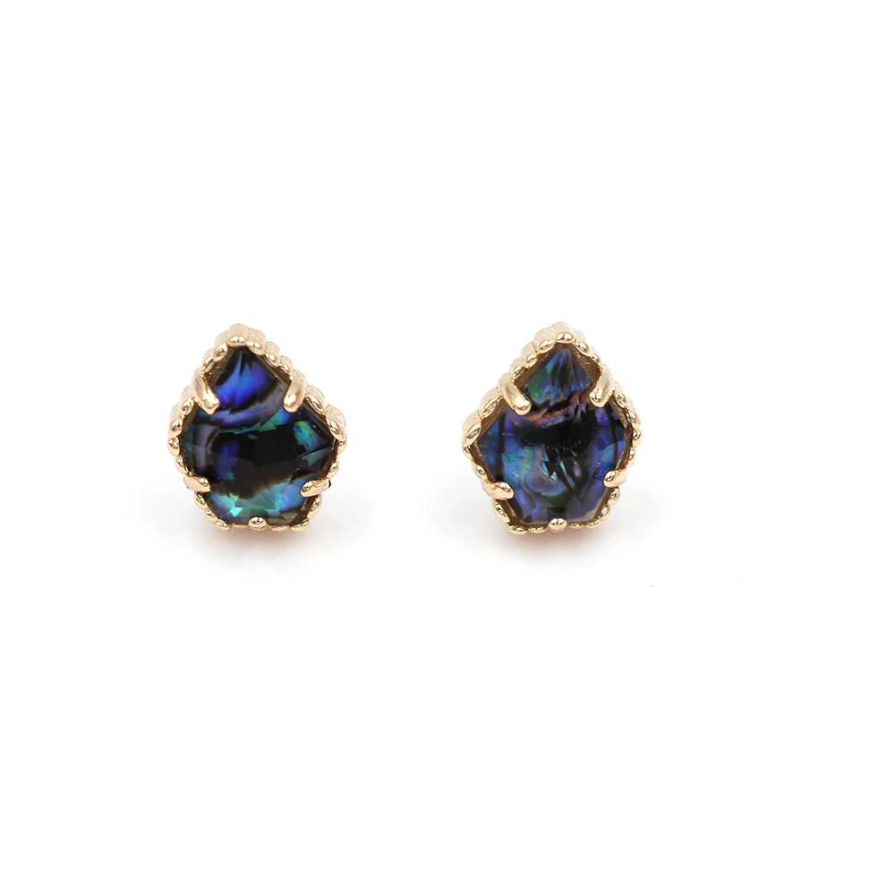 2 abalone earrings