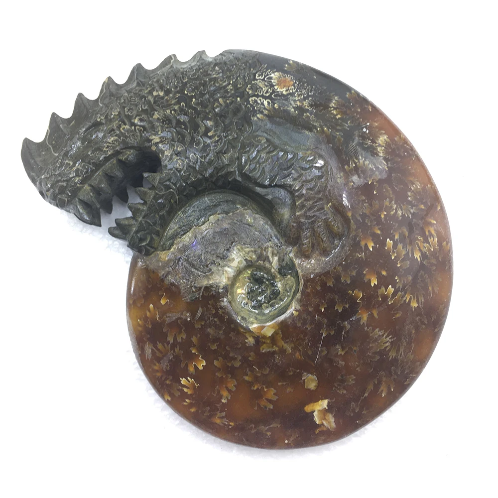 87B4766119185919C0E4549A8E39C21E