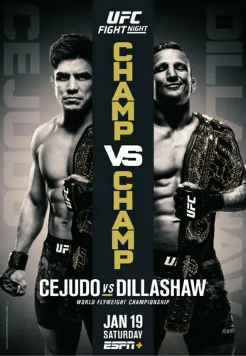 233 Cejudo vs Dillashaw художественный Шелковый плакат домашний декор для стен | Дом и сад