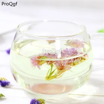 

Ngryise 500Gram A Set Myosotis Sylvatica