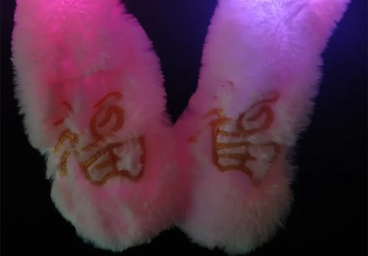 Douyin Celebrity Style Network Red Pig fa guang zhu Move Rabbit er duo mao Pig Hat plus Velvet Warm Hat Funny Flashing Hat