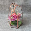 Geometric Irregular Glass Terrariums Tabletop Miniature Garden Vase Quartz Shape Solder Green House Plant  Home Decorating 5