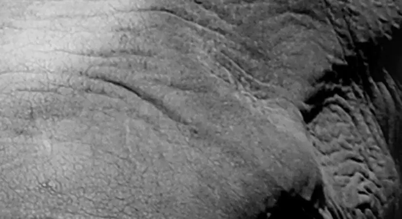 QQ截图20200627160644