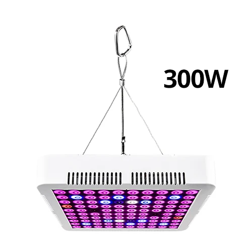 White Shell 100leds 300 Вт 900 Вт полный спектр Высокая производительность светодиодный свет роста лампы для парниковый эффект; Выращивание растений без почвы растут палатки комнатных растений с/х Светодиодная лампа - Испускаемый цвет: White Shell 100leds