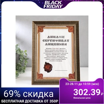 

Photo frame plastic A4 format "Modest"