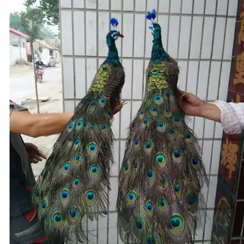 

a pair of simulation peacock models foam&feather beautiful peacock doll about 100cm