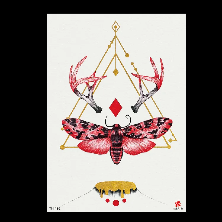 8562833832_1270164057