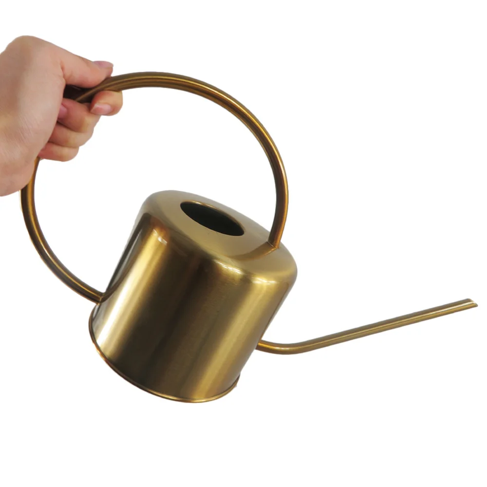 1pc Plants Watering Can Stainless Steel Long Spout Succulents Watering