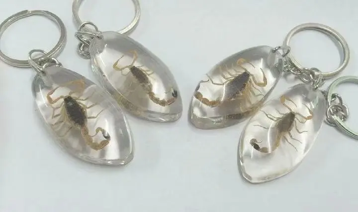 10 шт. новый стиль Lucid цветной брелок настоящий ЗОЛОТОЙ СКОРПИОН модный образец |