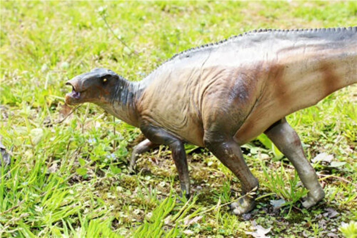 PNSO Shantungosaurus динозавр модель фигурки животных коллектор Декор подарок детская игрушка