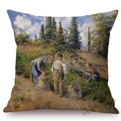 conew_t379 (8) 副本