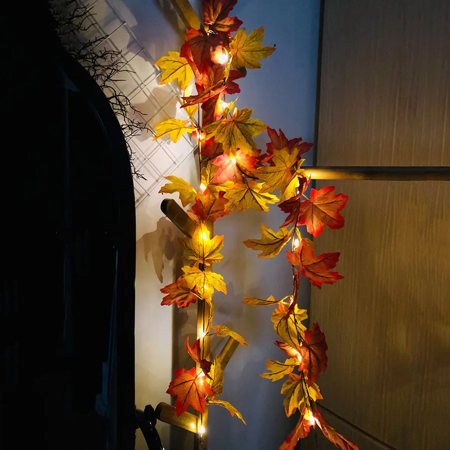 10997011148_171548661