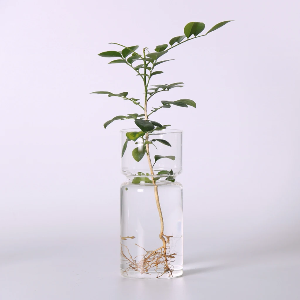 Clear Glass Hyacinth Vase Transparent Flower Plant Bottle Pot DIY Ornaments Home Living Room Garden Decoration Desk Decors 15cm Clear Glass Hyacinth Vase Transparent Flower Plant Bottle Pot DIY Ornaments Home Living Room Garden Decoration Desk Decors 15cm
