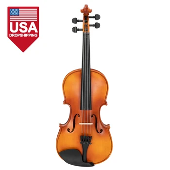 

DropShipping Glarry GV300 Violin Grained maple 4/4 Matte