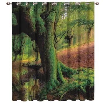 

The Forest Was Covered With Large Roots Of Green Moss Window Treatment Hardware Sets Curtain