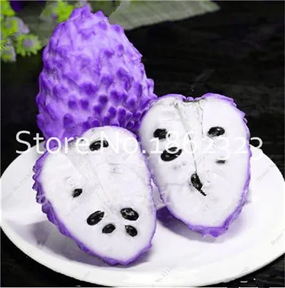 20 шт. Soursop бонсай фрукты, Graviola Annona муриката сладкий СОП вкусные фрукты бонсай сахар яблоко Annona дерево растение в бонсай - Цвет: 20