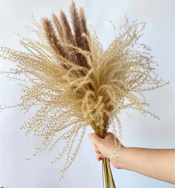 15Pcs Dried Small Pampas Grass Flowers Pantas Artificiales Para Decoracion Real Plants Home Decor Wedding Decoration Primary mix