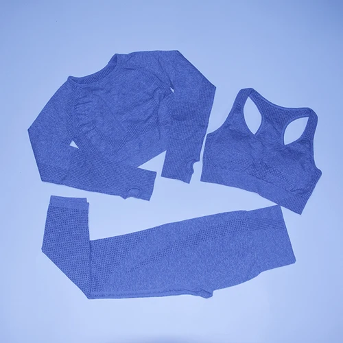 Vital бесшовный спортивный костюм, спортивный комплект, женская одежда для тренировок, бесшовные леггинсы, спортивный бюстгальтер пуш-ап, укороченный топ с длинными рукавами, комплект из 3 предметов для йоги - Цвет: Gray set