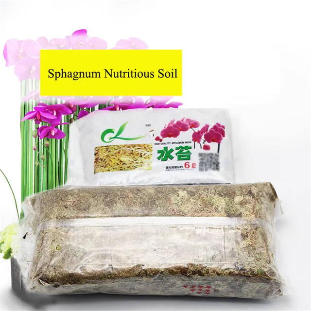 1Dc -Os Sphagnum Tápláló Talaj Összetett Műtrágya Száraz Moha Szerves Kerti Virágokhoz Clivia Orchidea Táplálkozási