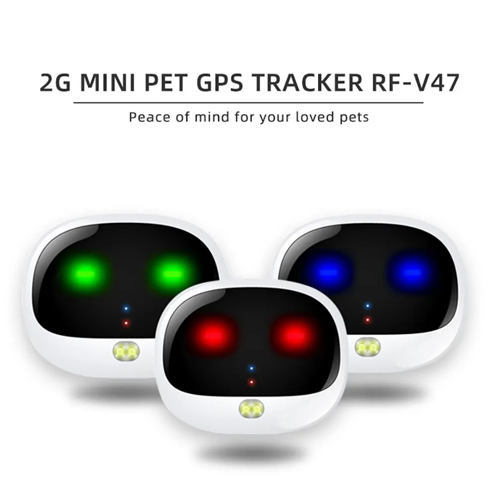 v47-宠物详情页英文版_01