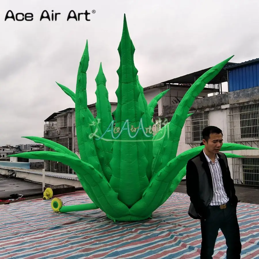 QQ图片20190401180135_副本_副本