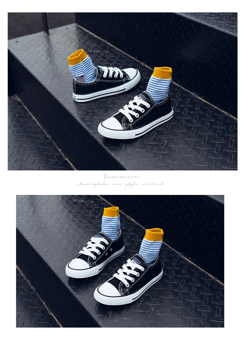 8824642641_194340818