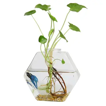 

1pc 17cm Wall Mounted Hydroponics Vase Glass Hanging Planter Flowers Container With Non-Trace Nail Crystal Mud