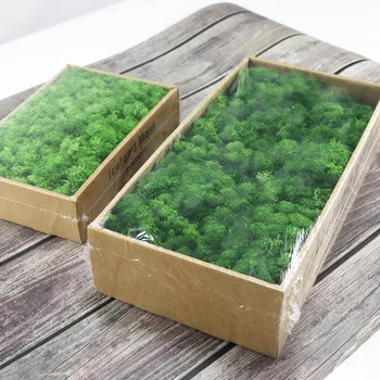 

20/40g Hight Quanlity Artificial Moss Eternal Life Green Plant DIY Micro Landscape Accessories Home Garden Decoration
