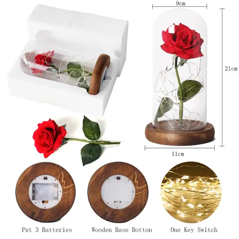 Valentinstag Geschenk Ewige Rose Schone Nacht Licht Schone Schonheit Und Biest Licht Up Die Schone Zimmer Mit Weiss Basis Kunstliche Getrockneten Blumen Aliexpress