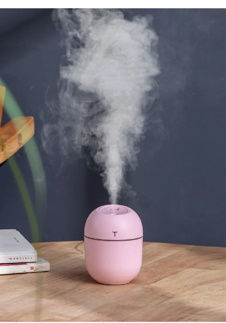 Mini humidificateur d'air portable Diffuseur d'arômes à ultrasons et  humidificateur MINI FACE MISTAIRE Purificateur de thérapie aromatique