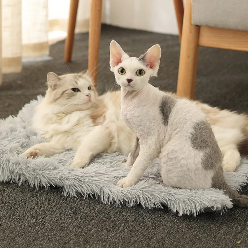 

Super Soft Dog Bed Plush Cat Mat Dog Beds For Labradors Large Dogs Bed HousePuppy Cushion Sleeping Mat Pet Sleeping Accessories