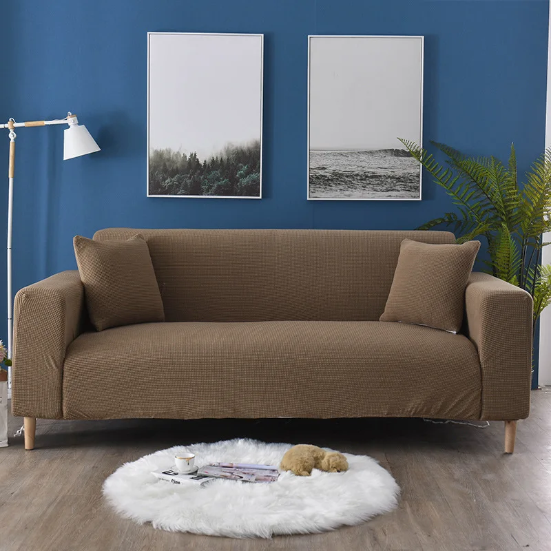 12836842669_813561669