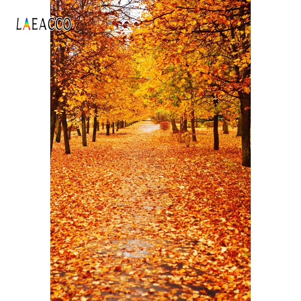Laeacco осенние опавшие листья дерево клен путь живописные фотографии фон Индивидуальные фотографии фонов для фотостудии
