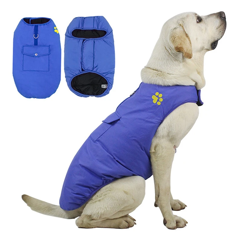 11822473336_609020808